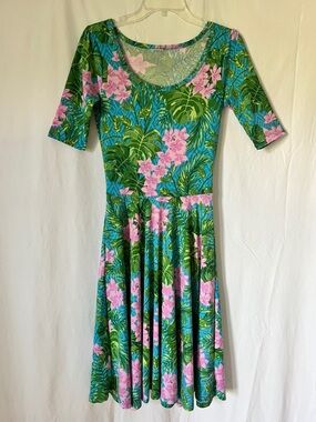 Floral Scoop Neck Fit & Flare Dress in Green and Pink